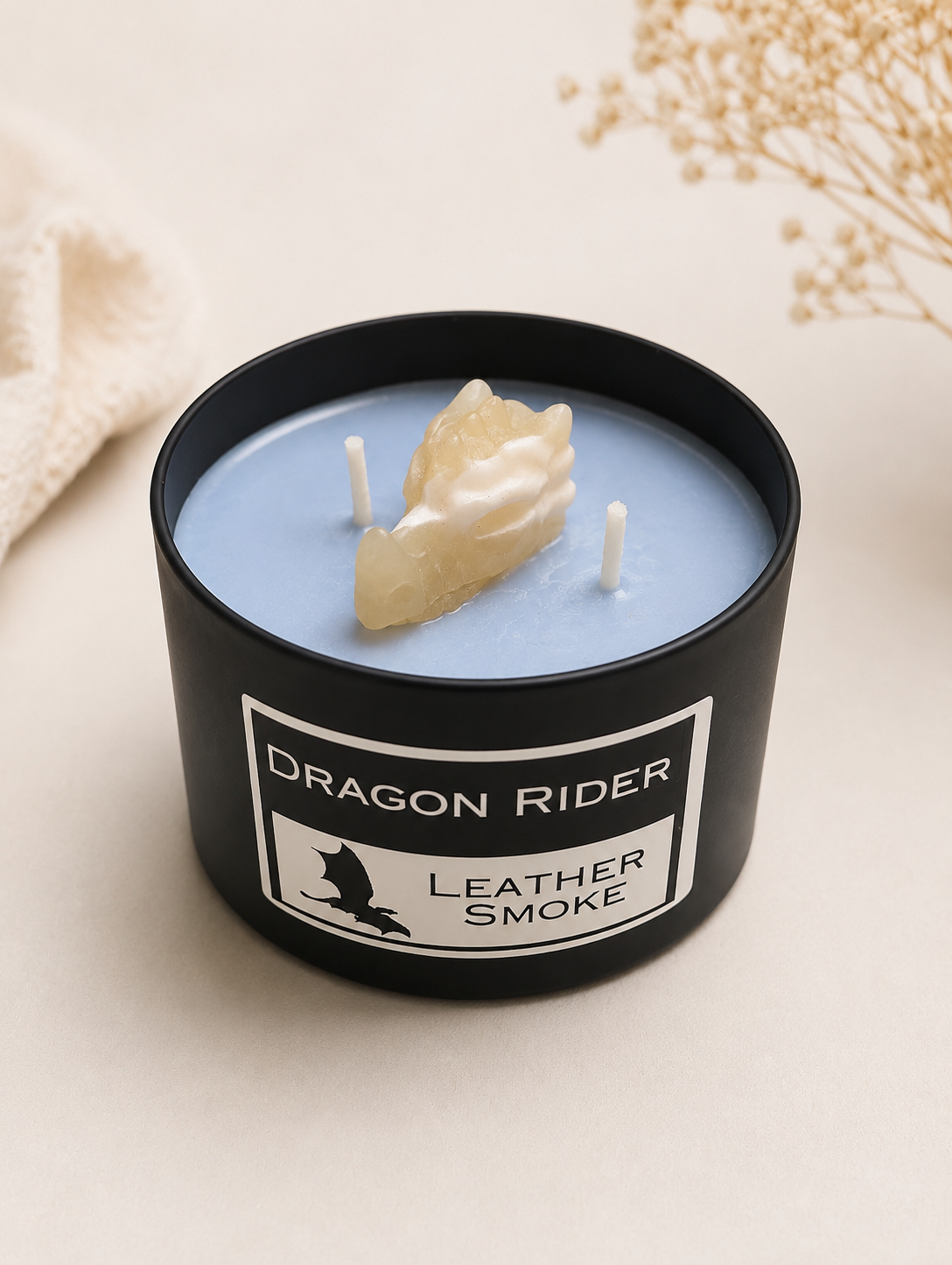 The Dragon Rider